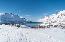 Arctic Fjords Road Trip