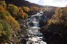 Arctic Fjords Road Trip