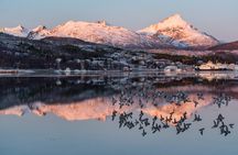 Arctic Fjords Road Trip