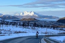 Arctic Cycling Adventure