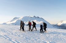 Small Group Snowshoe Hike in Tromso