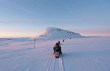 Snowmobile Adventure