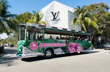 Miami's Only Open-Air Trolley Tour | Miami Bus Tour & Live Guide