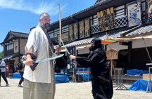 Kyoto and Nara Private Car Tour with a Local English Guide Driver