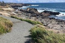 Hiking Trail at Louisbourg Lighthouse Scenic Coastal Views Tour