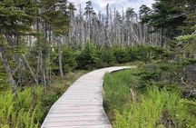 Hiking Trail at Louisbourg Lighthouse Scenic Coastal Views Tour