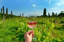 Group Tour to Hovhannavank Monastery and Voskevaz Wine Factory
