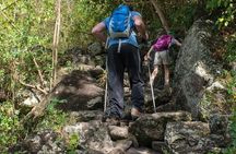 St Lucia Gros Piton Hike Conquer a World Heritage Site
