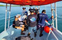 Pelagic Shark Safari Snorkel Expedition