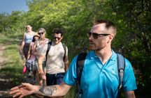 Mangrove & Coastal Wildlife Experience with a Cayman Naturalist