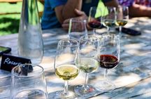 Franschhoek Wine Tram Experience from Cape Town 8 Hour Tour