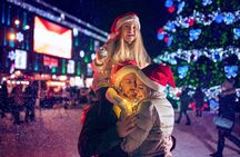 Private Edinburgh Christmas Lights & Festive Walking Tour