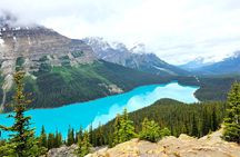 Banff Lake Louise and Icefield Parkway Private Tour Sightseeing