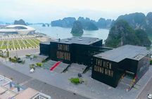 Halong Bay Shore Excursion: Half Day Ha Long City Tour with Guide