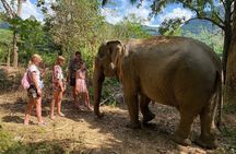 Jurassic World Huay To Waterfall and Jungle Tour from Krabi 