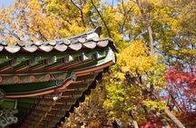 Seoul Private Layover Tour from the Airport with a Local