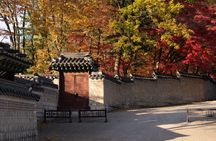 Seoul Private Layover Tour from the Airport with a Local