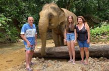 Jurassic World Huay To Waterfall and Jungle Tour from Krabi 