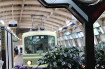 Jean’s Coastal Walk — Enoshima by Enoden (4-Hour Private Tour)