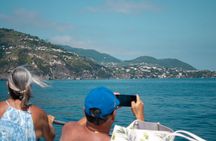 Small Group Ischia and Procida Boat Day Tour from Sorrento