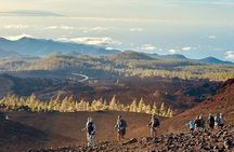Teide Sunset Hiking & Volcanic Tube Visit