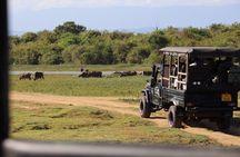Udawalawe National Park Day trip 