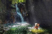 Manila Rainforest Escape and Waterfall Tour