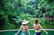 Manila Rainforest Escape and Waterfall Tour