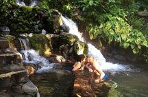 Manila Rainforest Escape and Waterfall Tour