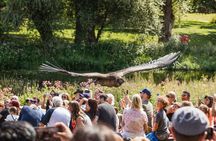 Oxford, Stratford-Upon-Avon, Cotswolds & Warwick Castle Day Tour