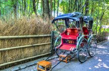 Kyoto Private Tour Early Morning Arashiyama Bamboo Forest