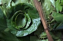 Traditional Leaf Plate Making Workshop in Kathmandu