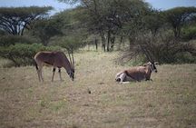 Discover Ethiopia Through Stories, Culture and Adventure