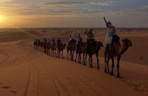 3 Days 2 Nights Desert Tour from Fes to Marrakech via Merzouga