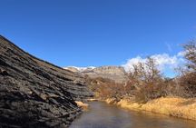 Bird Watching and Fauna in Chilean Patagonia Private Tour 