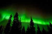  Northern Lights Hunting of Rovaniemi 