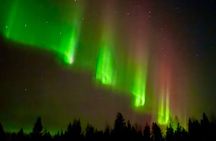  Northern Lights Hunting of Rovaniemi 