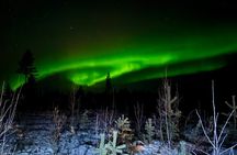  Northern Lights Hunting of Rovaniemi 