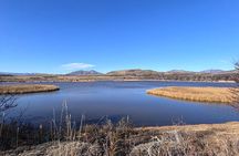Bird Watching and Fauna in Chilean Patagonia Private Tour 