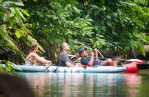 The Sloth and Kayak Tour - Ethical wildlife encounters