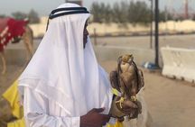 Qatar Desert Adventure Dune Bashing and Inland Sea Visit