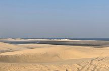 Qatar Desert Adventure Dune Bashing and Inland Sea Visit