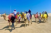Qatar Desert Adventure Dune Bashing & Inland Sea(Sharing/Private)