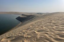 Qatar Desert Adventure Dune Bashing & Inland Sea(Sharing/Private)