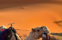 Marrakech to Agafay Small Group Tour