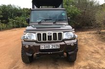 Yala sunrise half day by NPA Leopard Safari