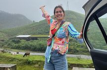 Kochi to Munnar Full Day Tour Eravikulam Tea Estate and Lunch