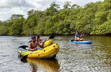 Fort Lauderdale Kayak and Paddleboard Mangroves Eco Adventure