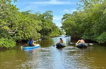 Fort Lauderdale Kayak and Paddleboard Mangroves Eco Adventure