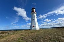 Sydney's Story: From Downtown to Coastline